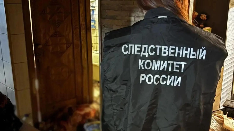 Не менее 50 ножевых ранений: великолучанин обвиняется в убийстве отчима